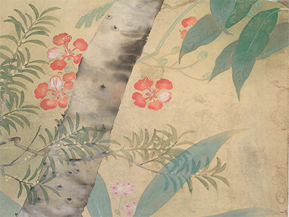 綠葉顏料剝落粉化