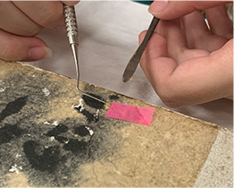 缺失處填入以纖維素粉製作的填補物。