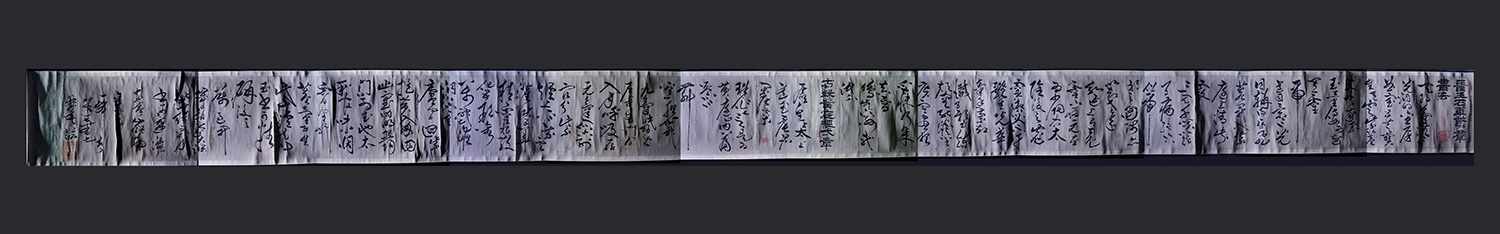 修護前側光攝影