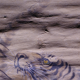 畫心黃化、脆化，斷裂翹起